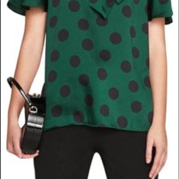 Zara Silk Polka Dot with Bow Necktie Blouse - Picture 8 of 8